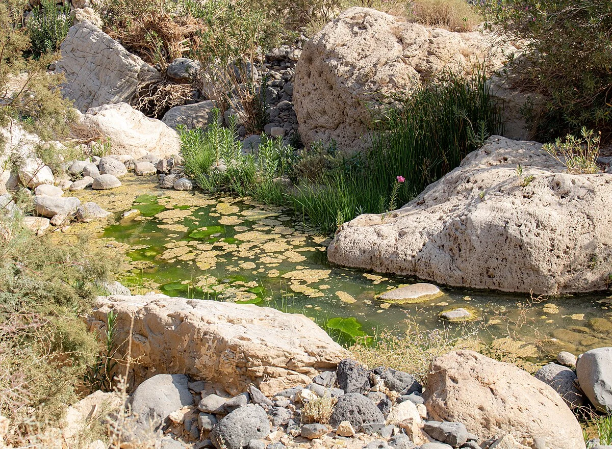 Das Wadi al-Mudschib