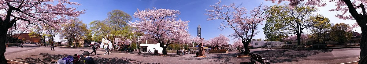 Bilder aus Japan (3)
