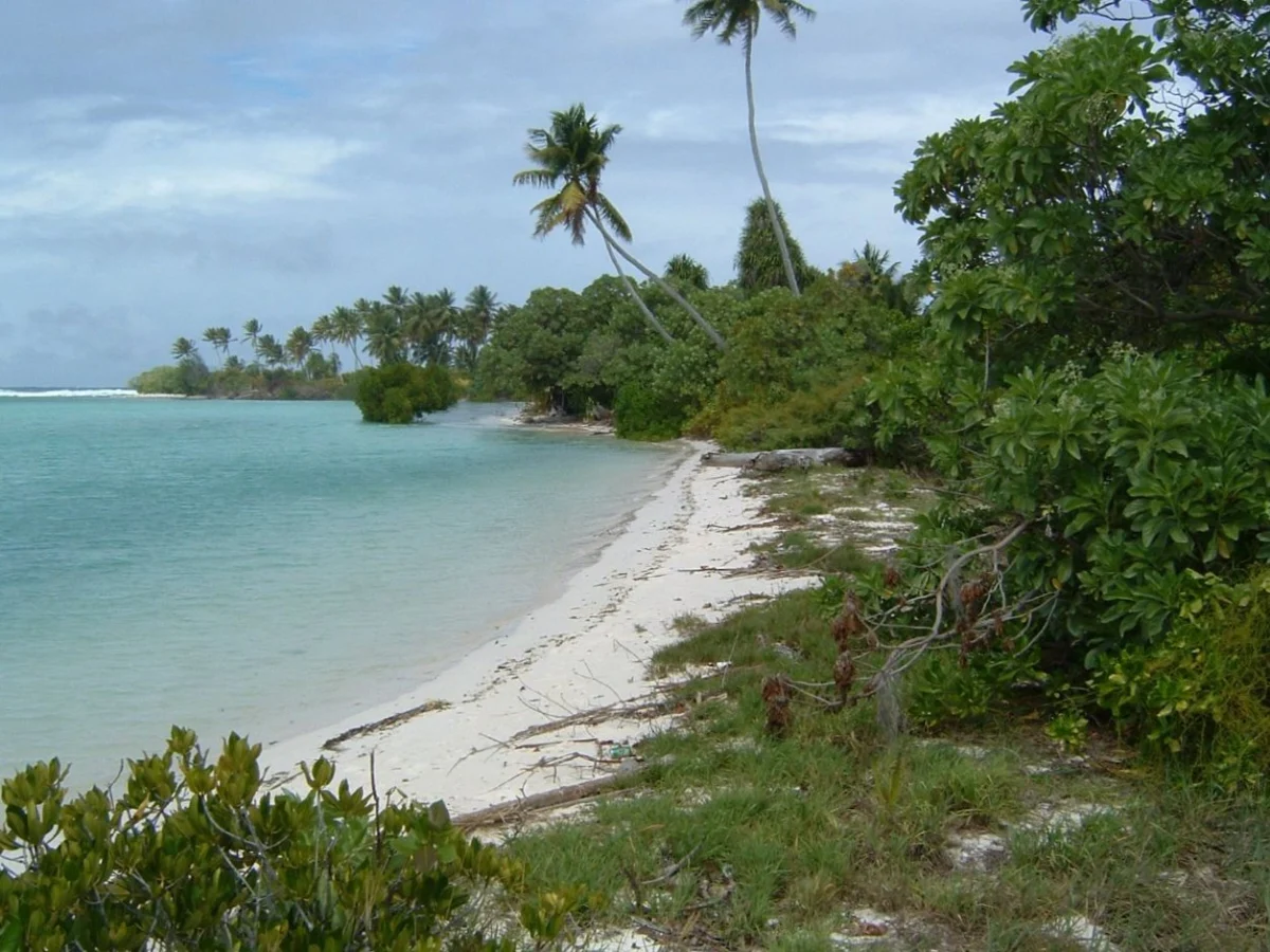 Strand