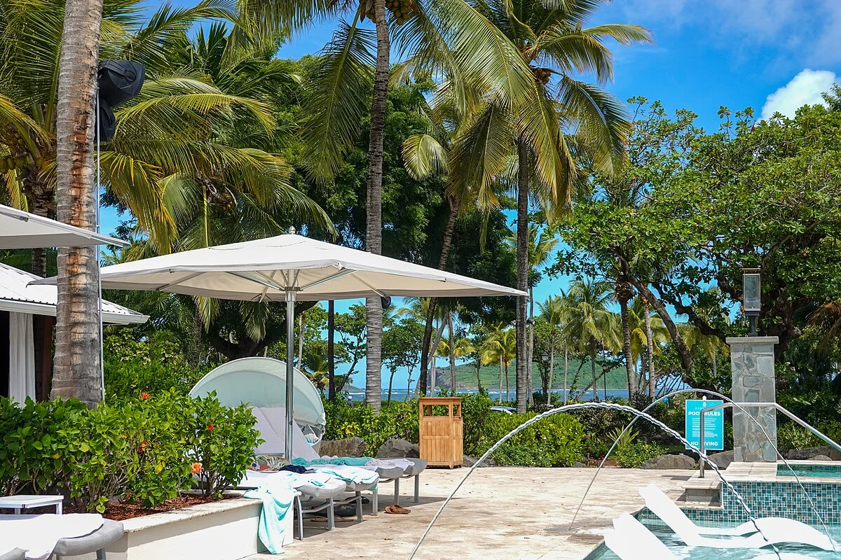 Palmen auf St. Lucia