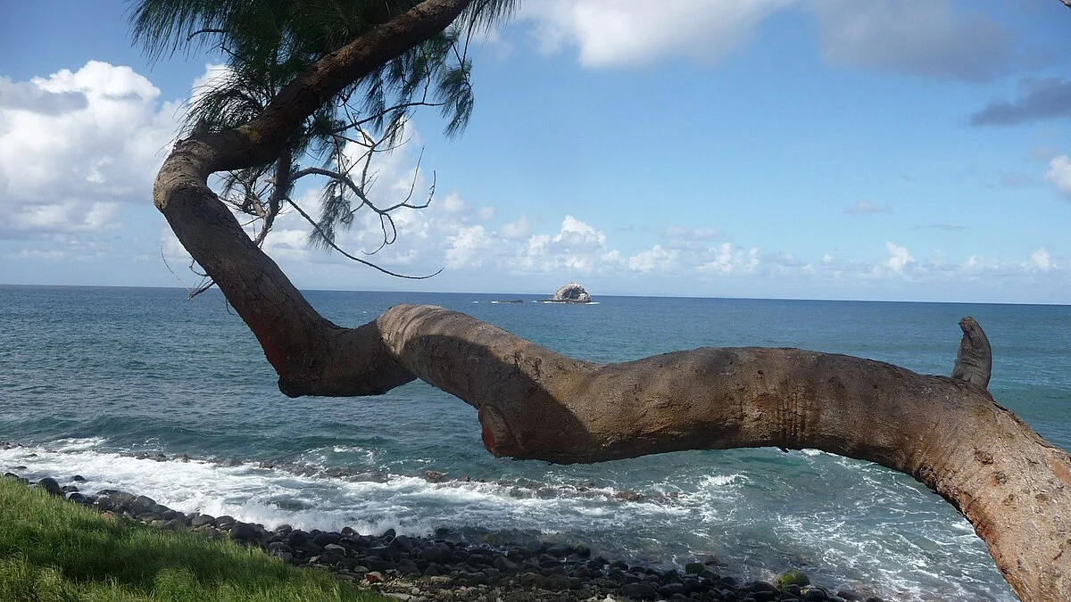 Blick von Pigeon Island nach Norden