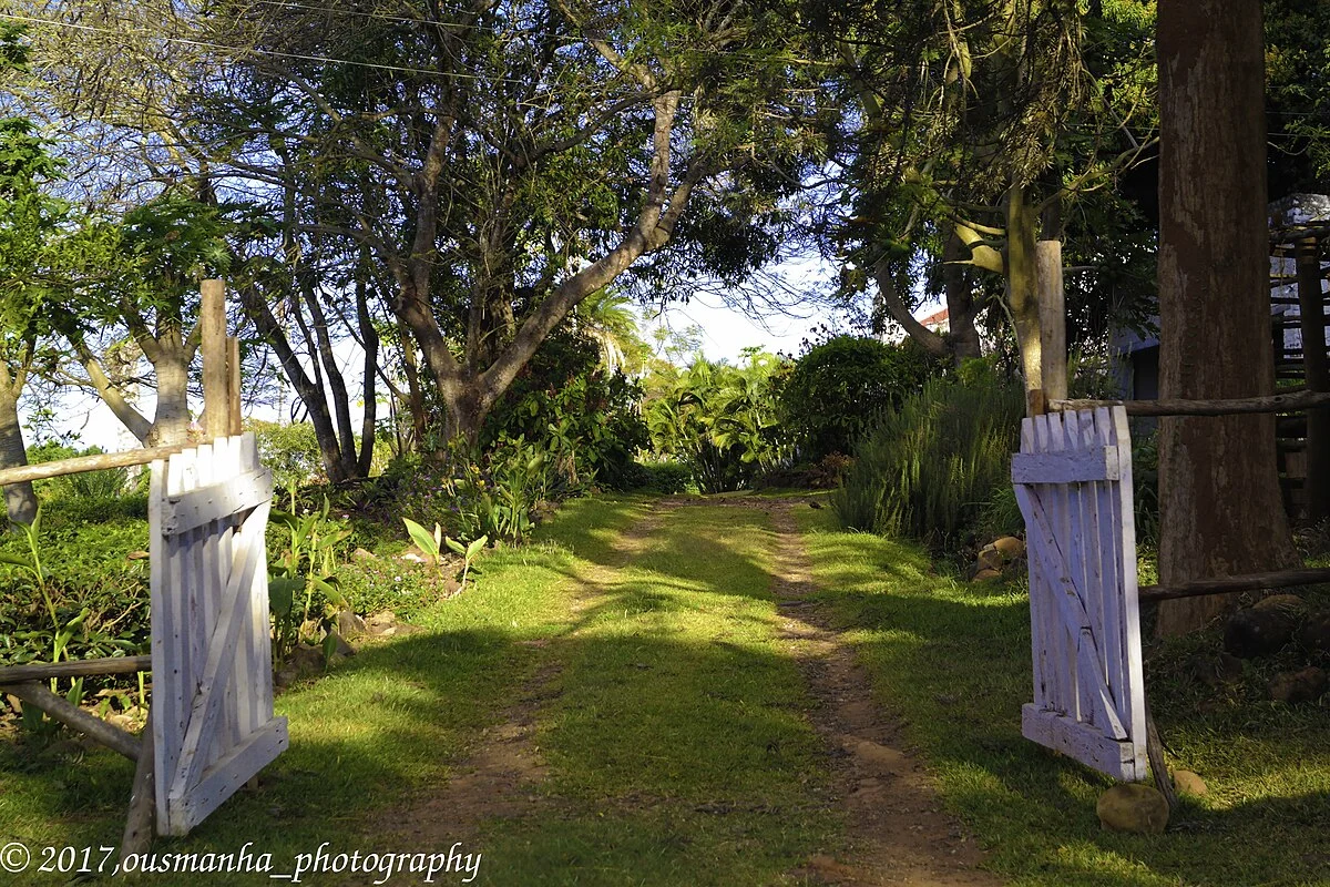 Bilder aus Sri Lanka (1)