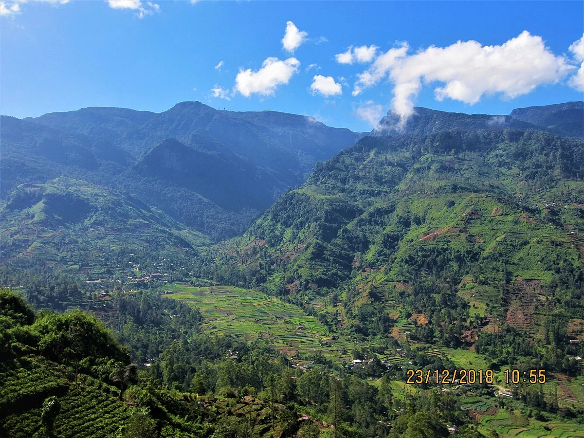 Das Bergdorf Mandaram Nuwara