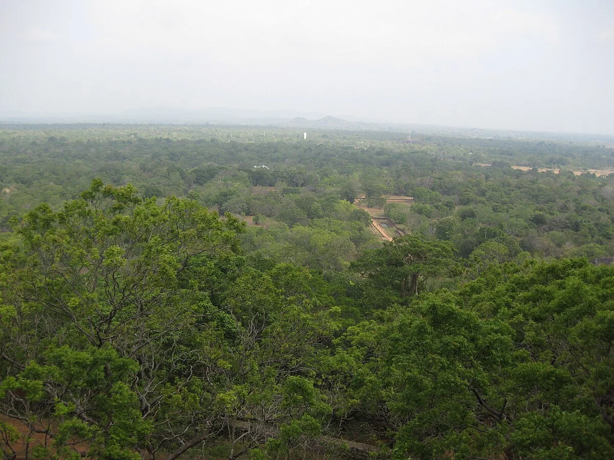 Landschaft um Sigiriya