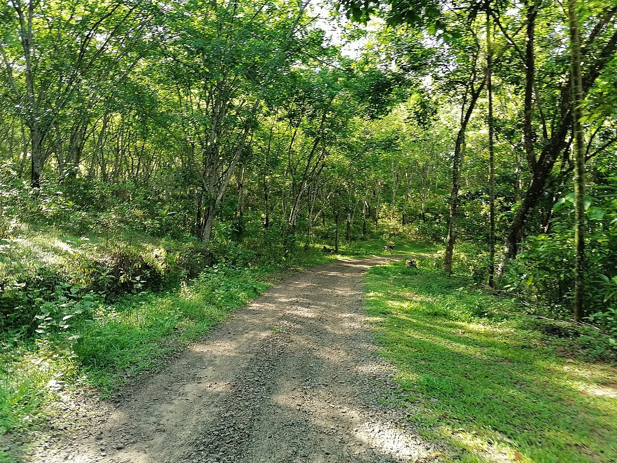 Bilder aus Sri Lanka (7)