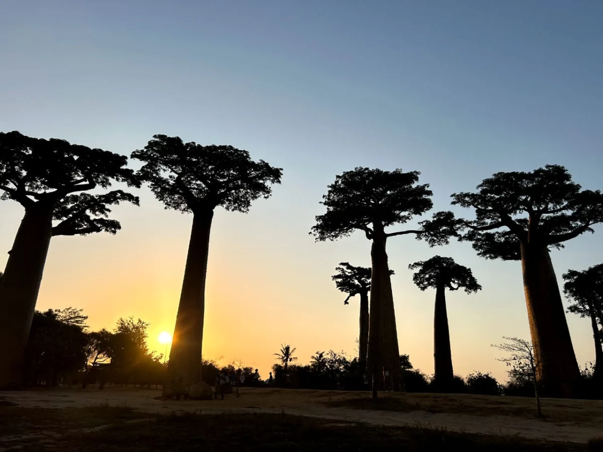Morondava