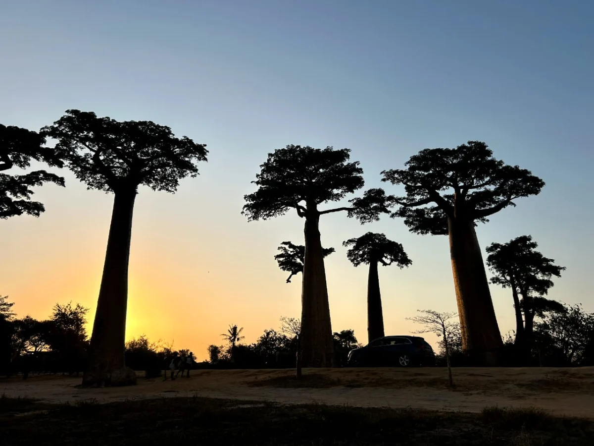 Morondava