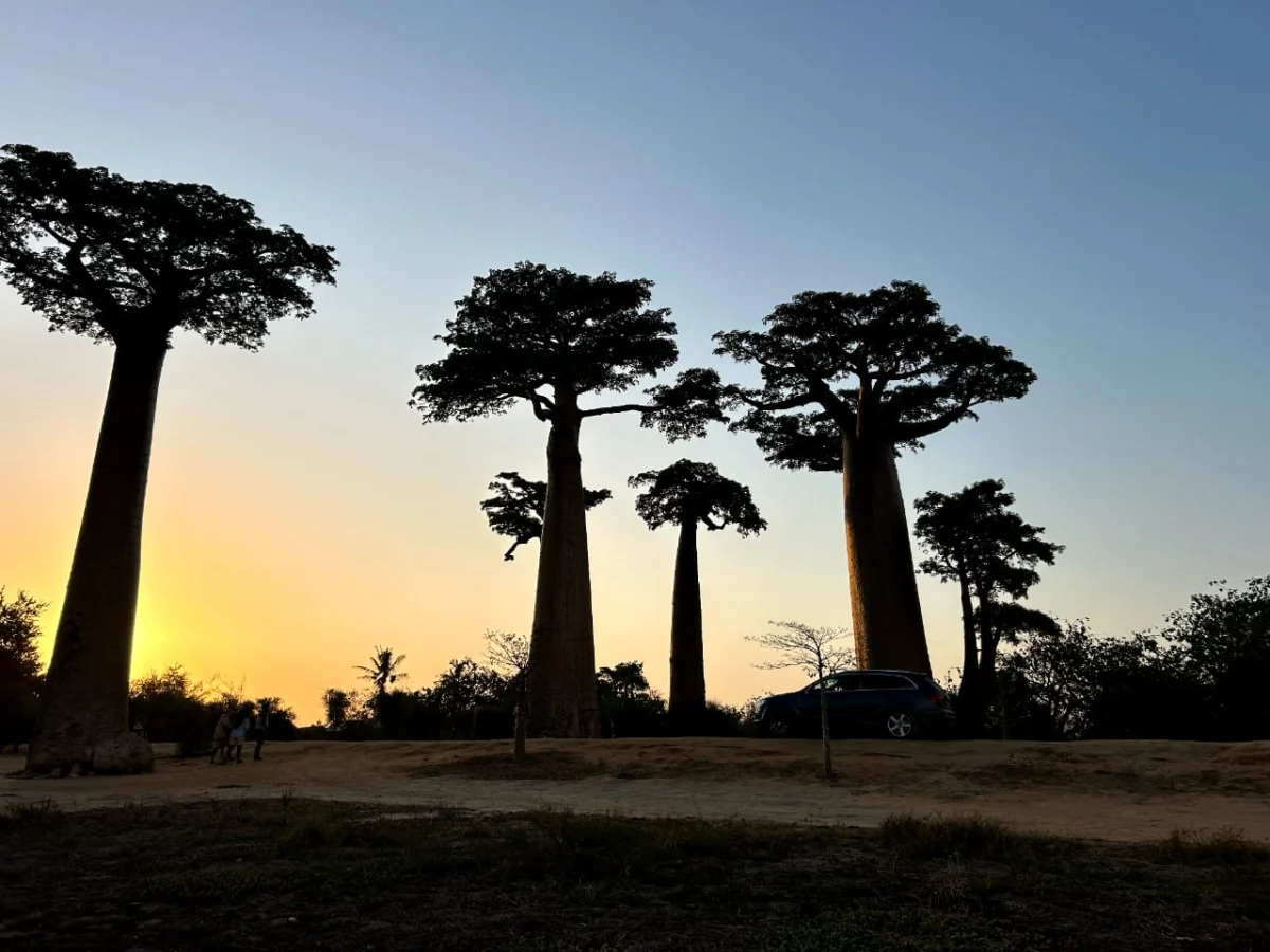 Morondava
