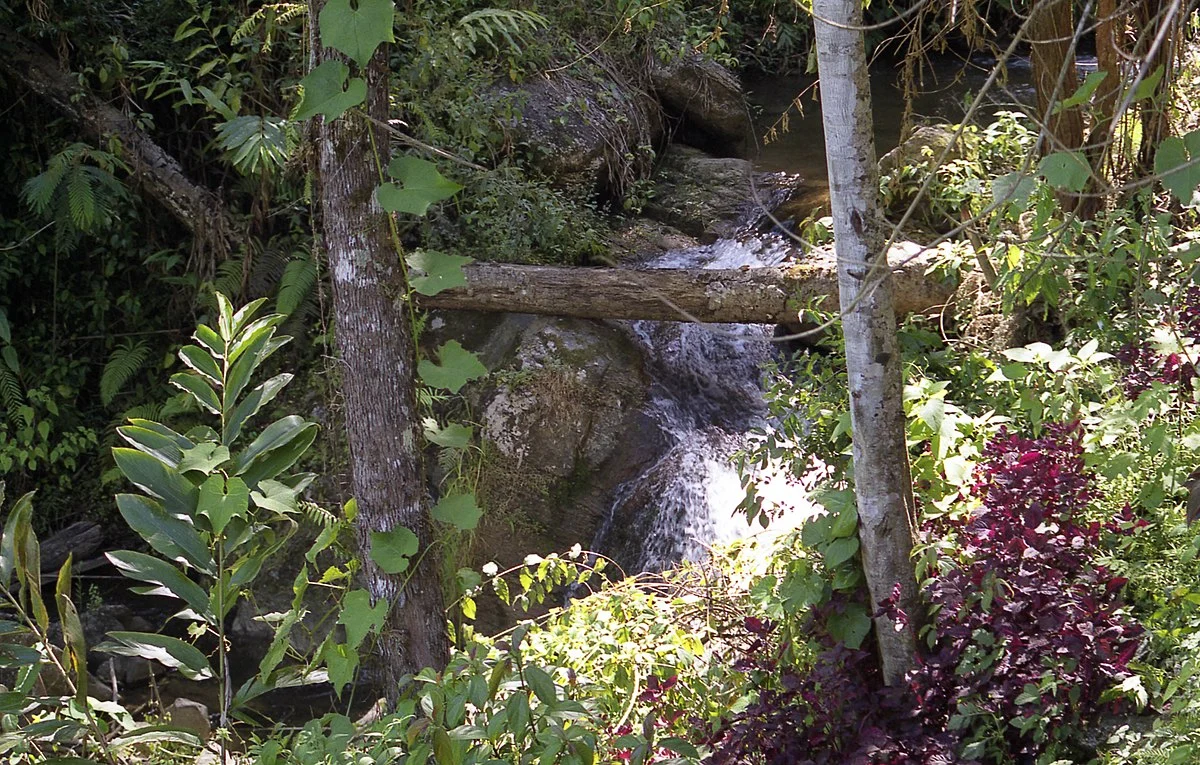 Bilder aus Madagaskar (1)