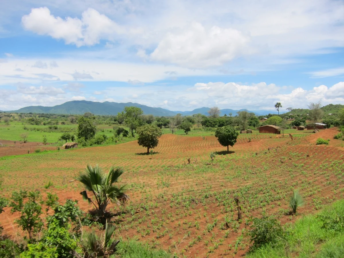 Ackerland in Malawi