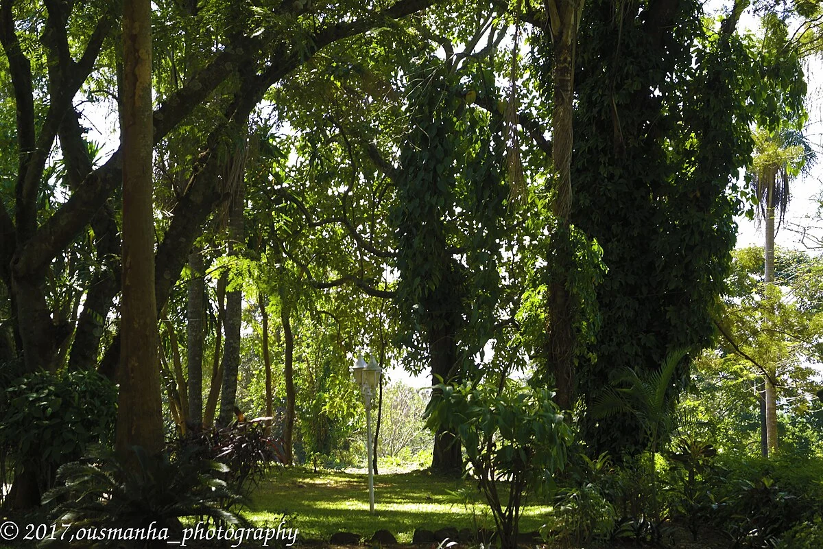 Mulanje