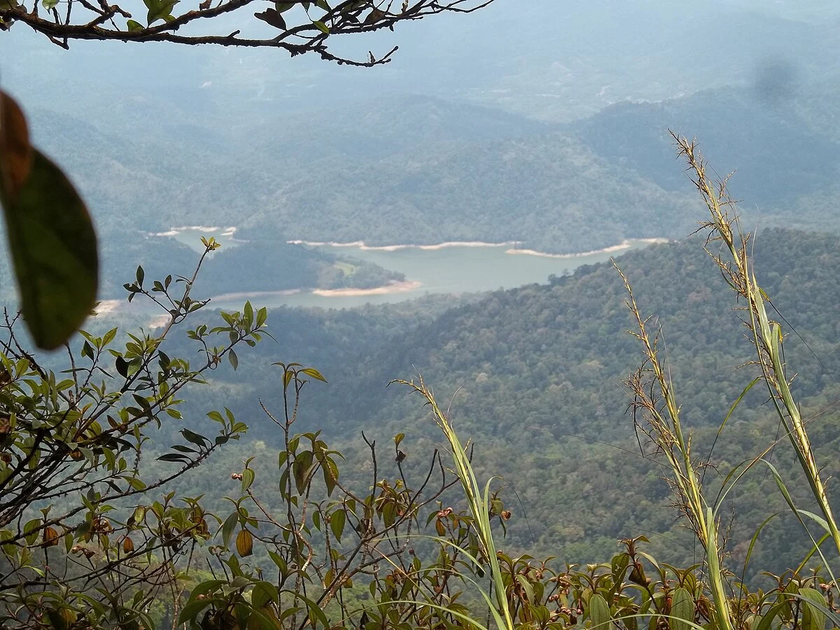 Kurz vor dem Gipfel des Gunung Nuang