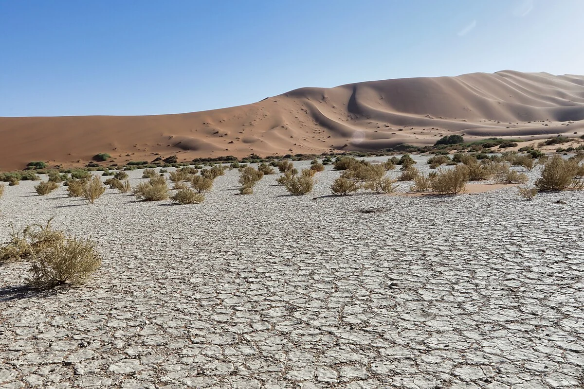 Rote Dünen im Sossusvlei