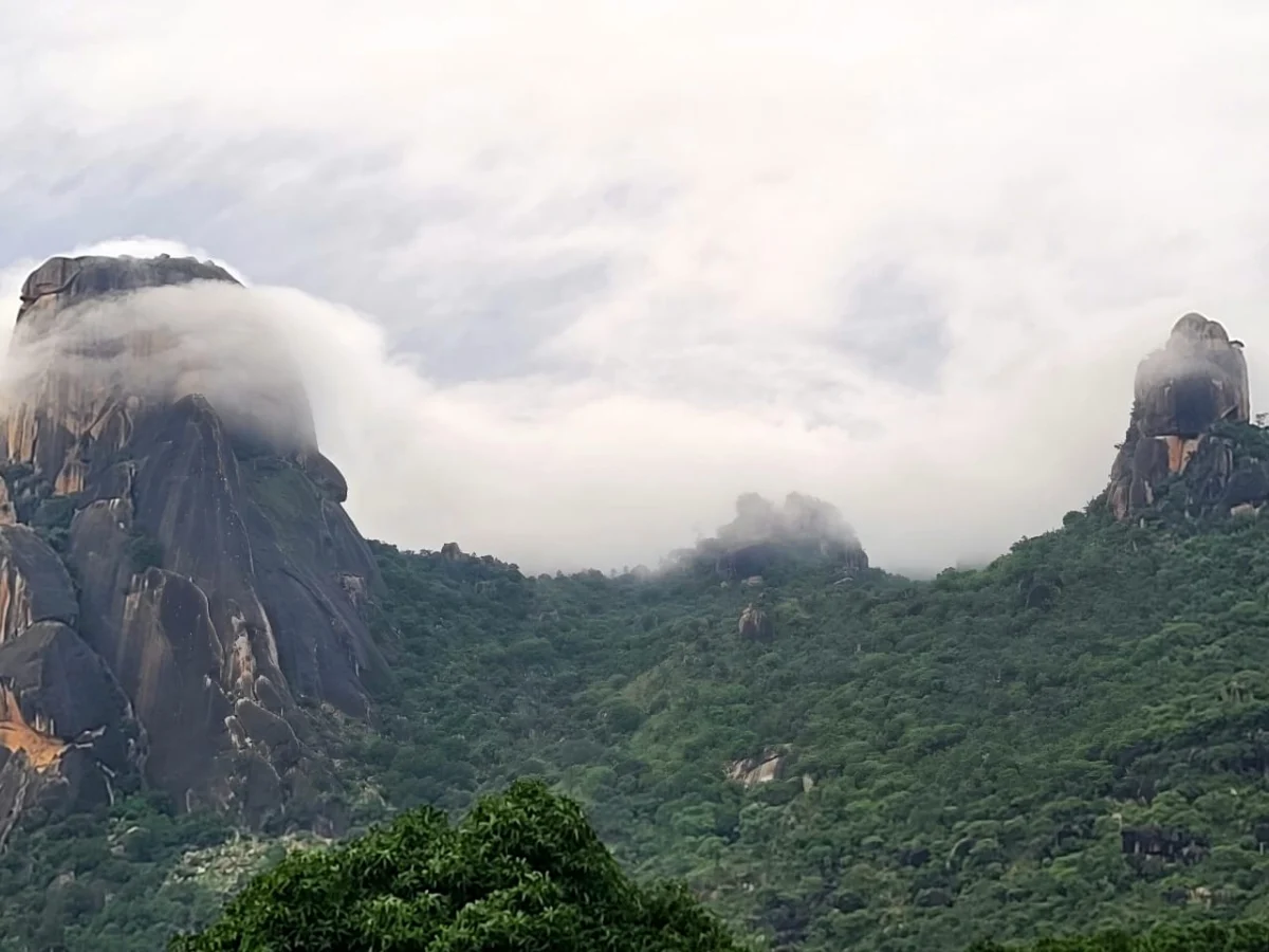 Berg im Gebiet Hong im Bundesstaat Adamawa
