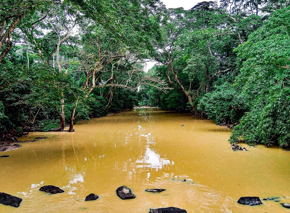 Der Osun im Heiligen Hain von Osogbo