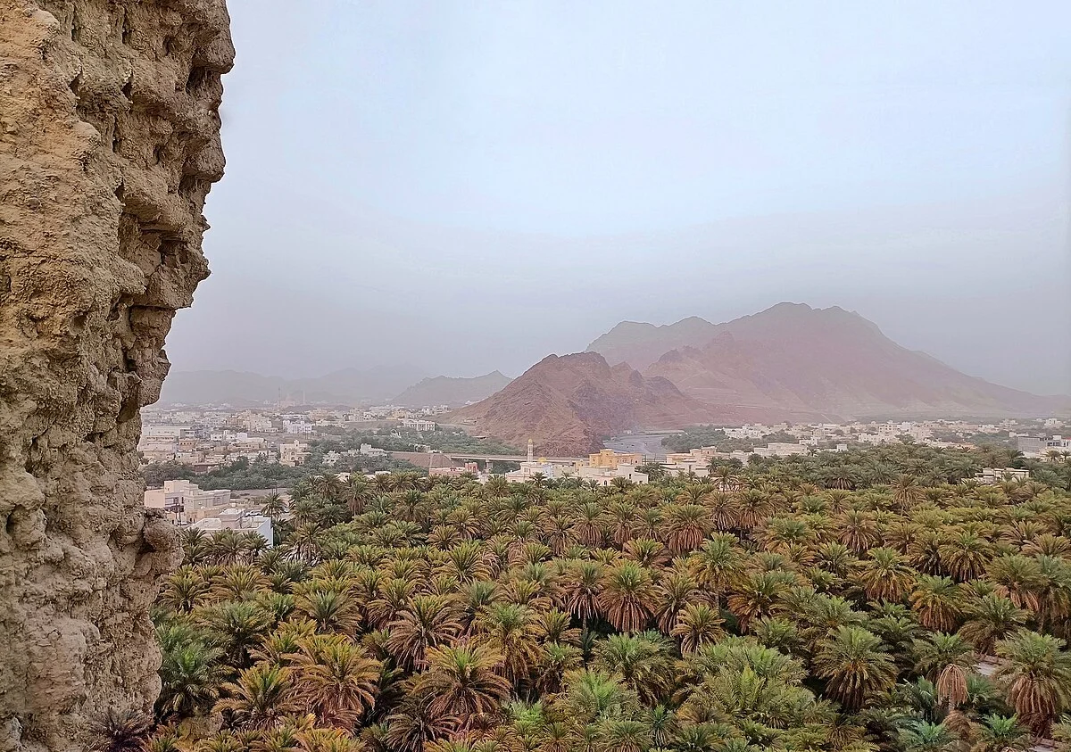 Blick von einem verfallenen Fort über Dattelpalmen und Dorf