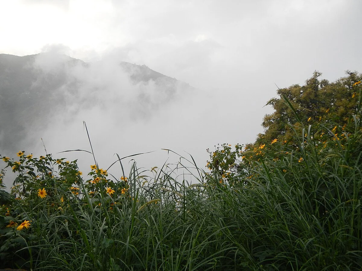 Tuba in Benguet im Nebel