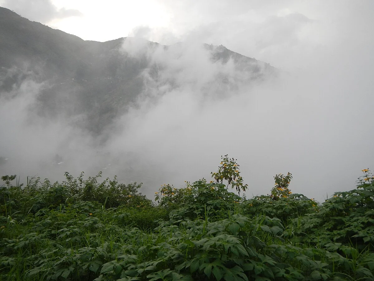 Tuba in Benguet im Nebel