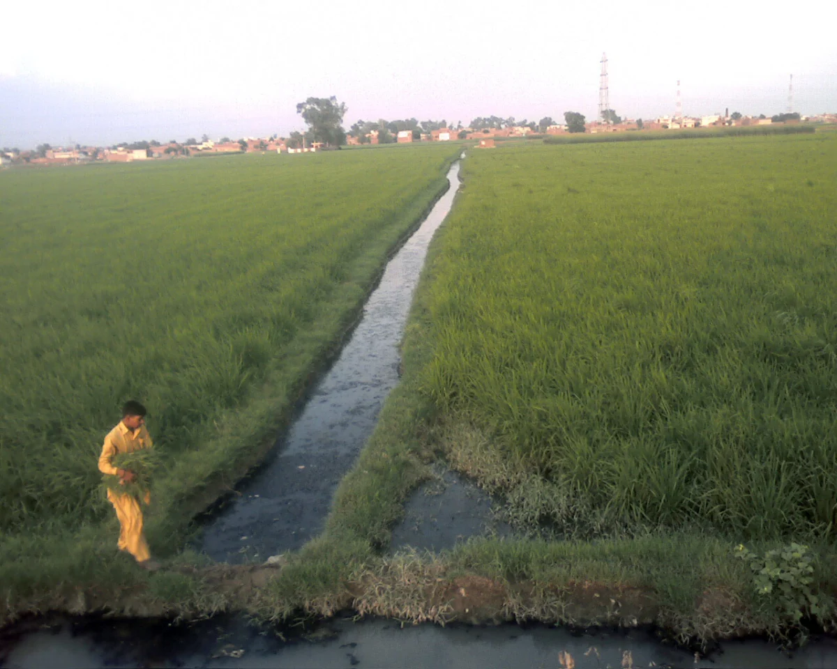 Grünes Dorf in Pakistan