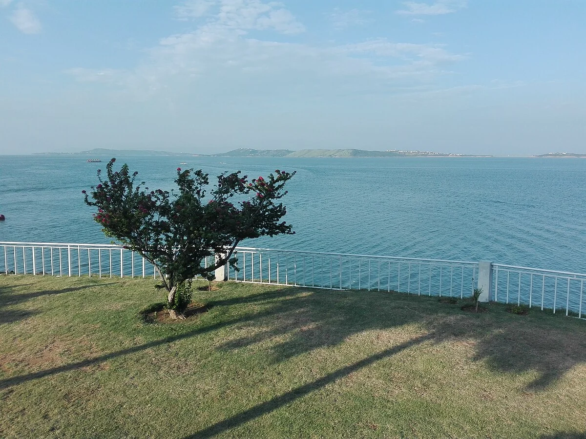 Einzelner Baum am Mangla-Stausee