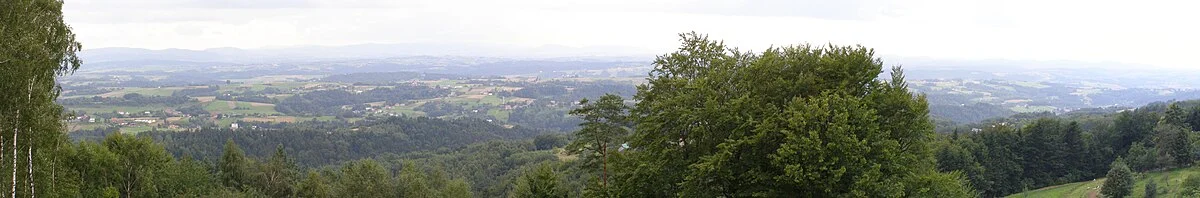 Blick vom Aussichtsturm auf der Brzanka bei Jodłówka Tuchowska