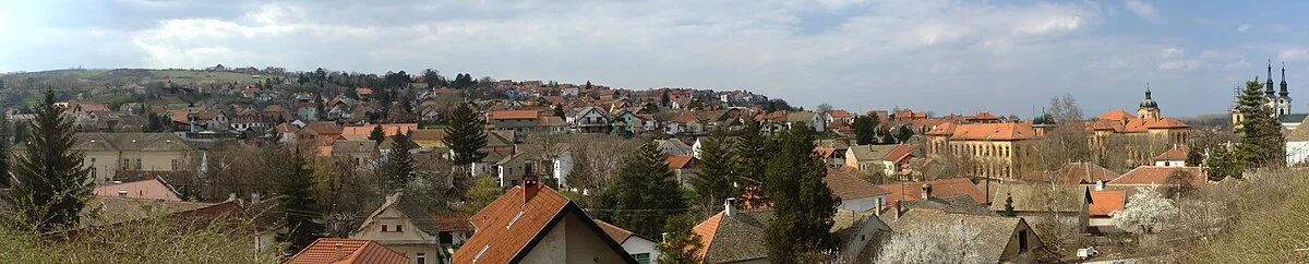 Sremski Karlovci von Süden