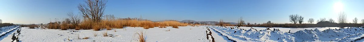 Das Naturreservat Brzansko Moravište im Winter