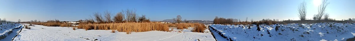 Das Naturreservat Brzansko Moravište im Winter