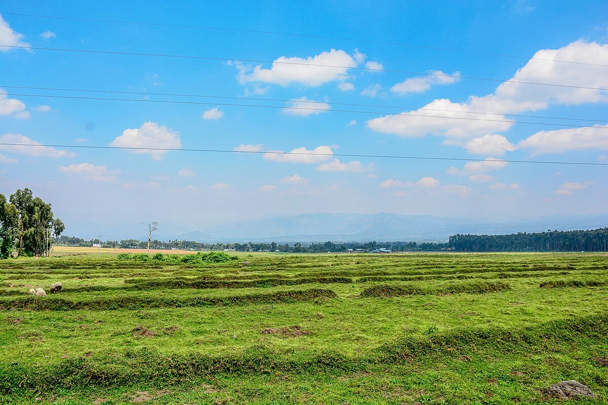 Landschaft bei Kinigi