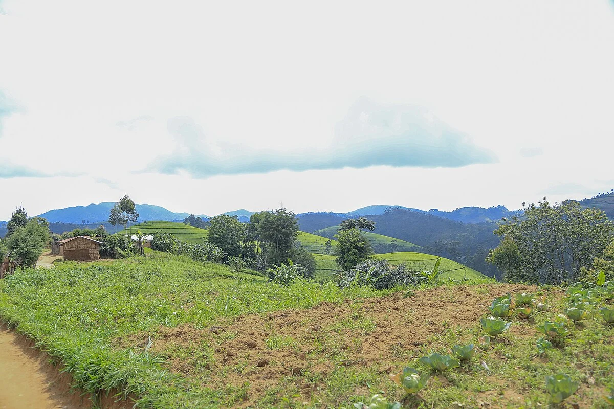 Landschaft in Ruanda