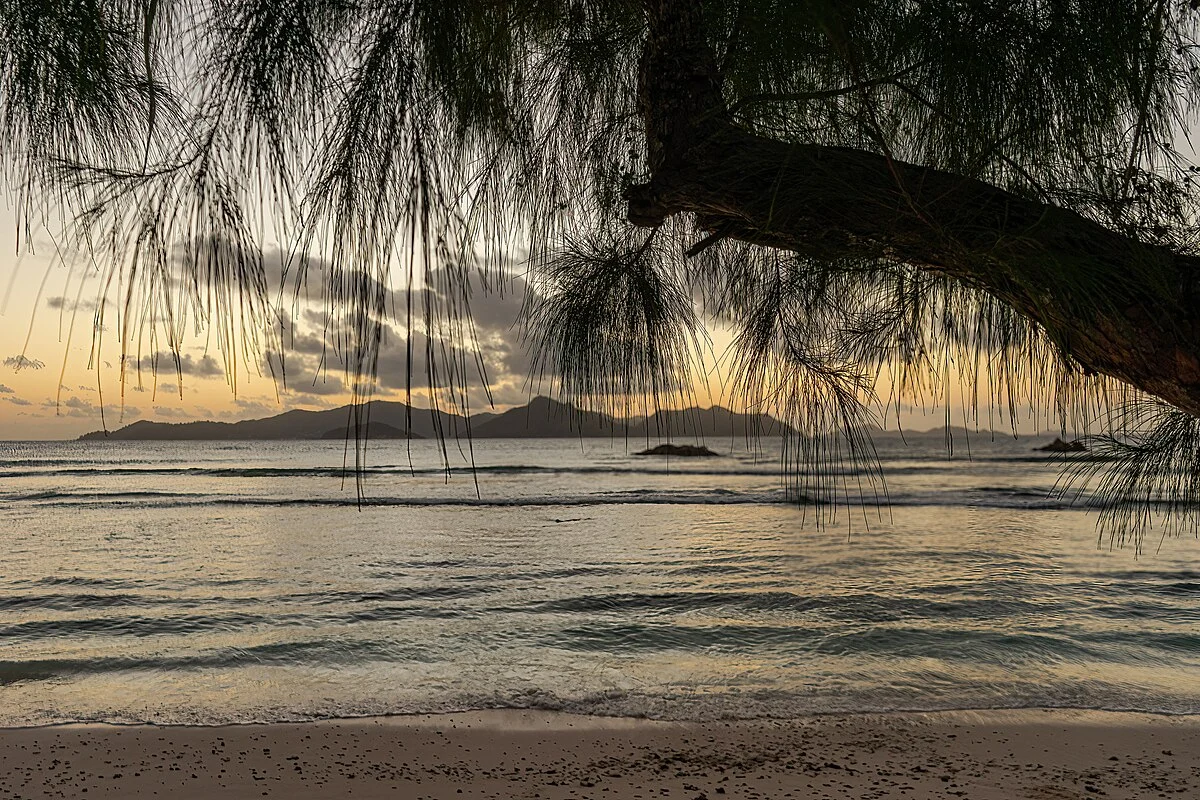 Der Strand Anse Cocos auf La Digue