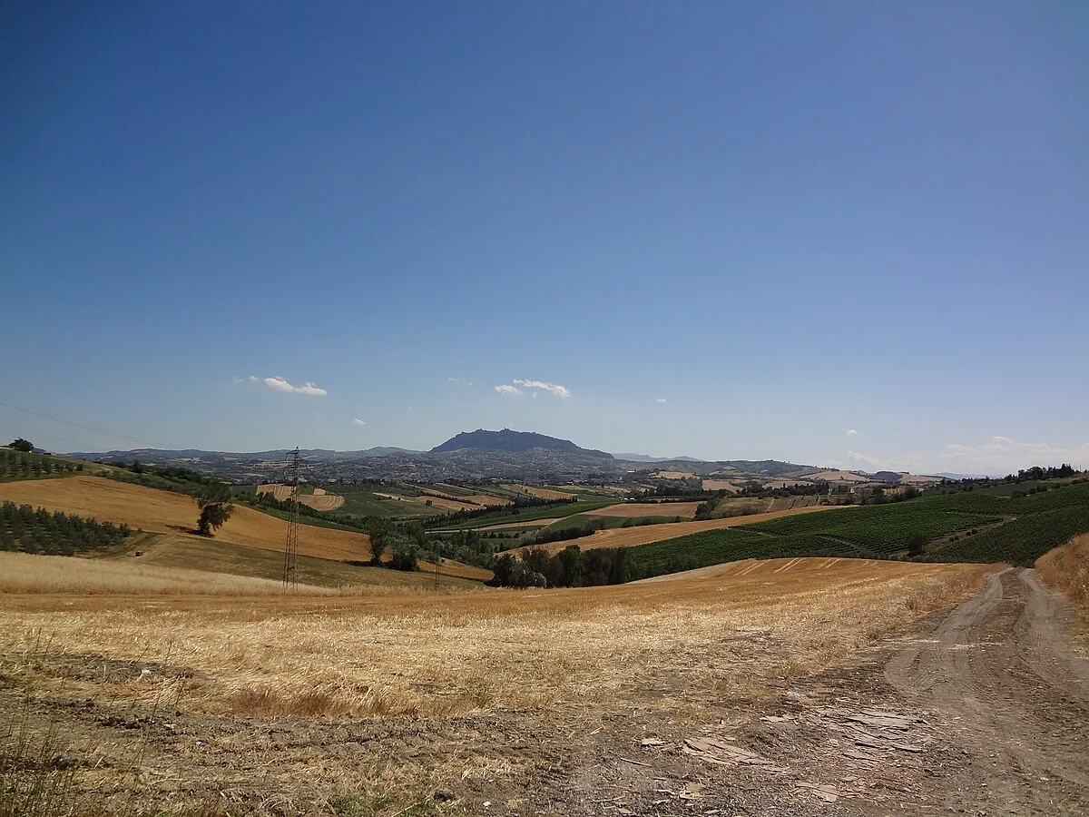 Sommerliche Landschaft