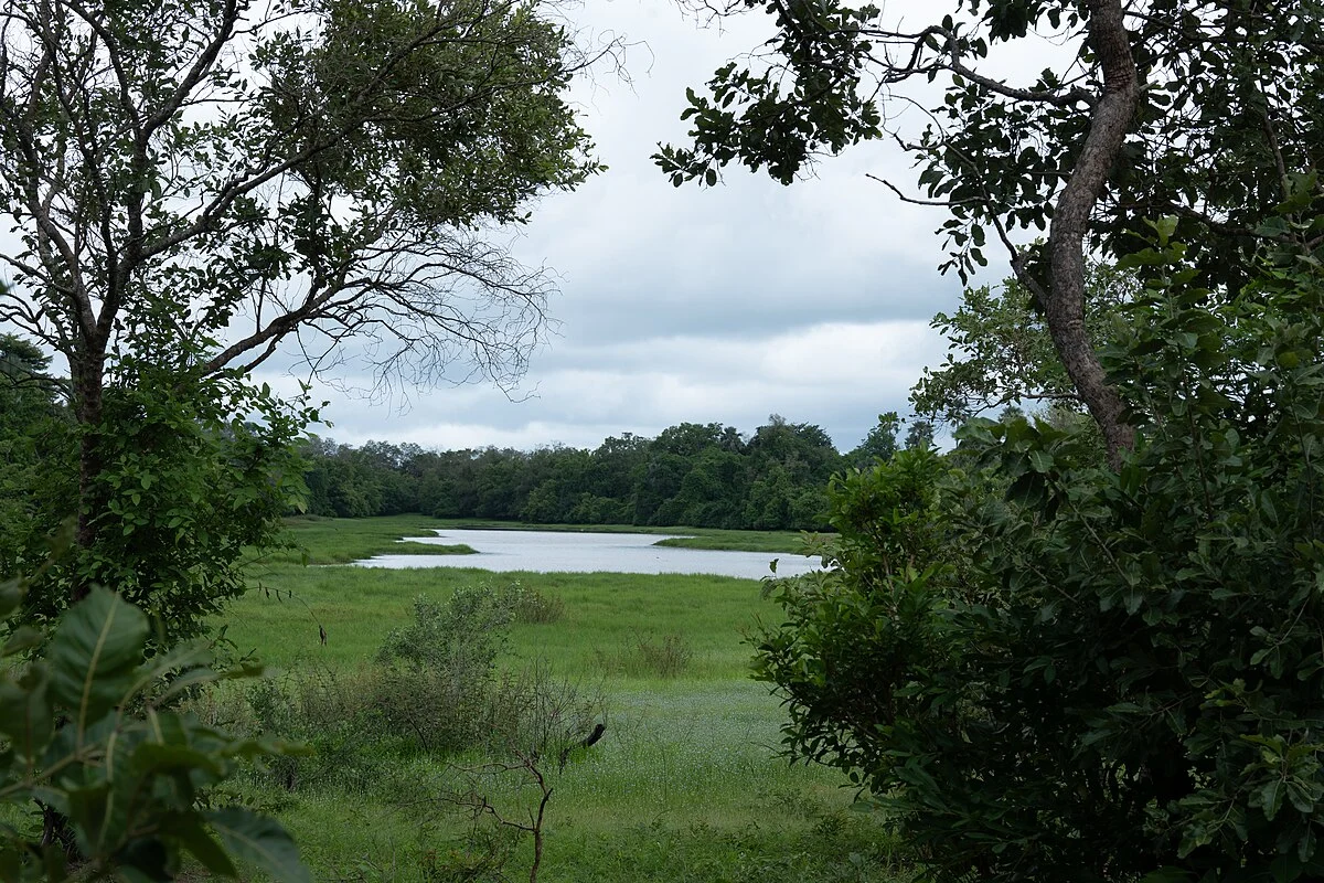 Der Gambia-Fluss im Nationalpark Niokolo-Koba