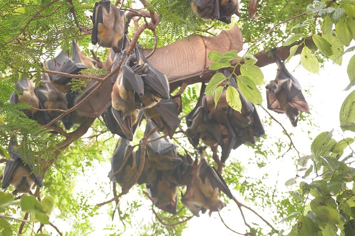 Bilder aus dem Südsudan (1)