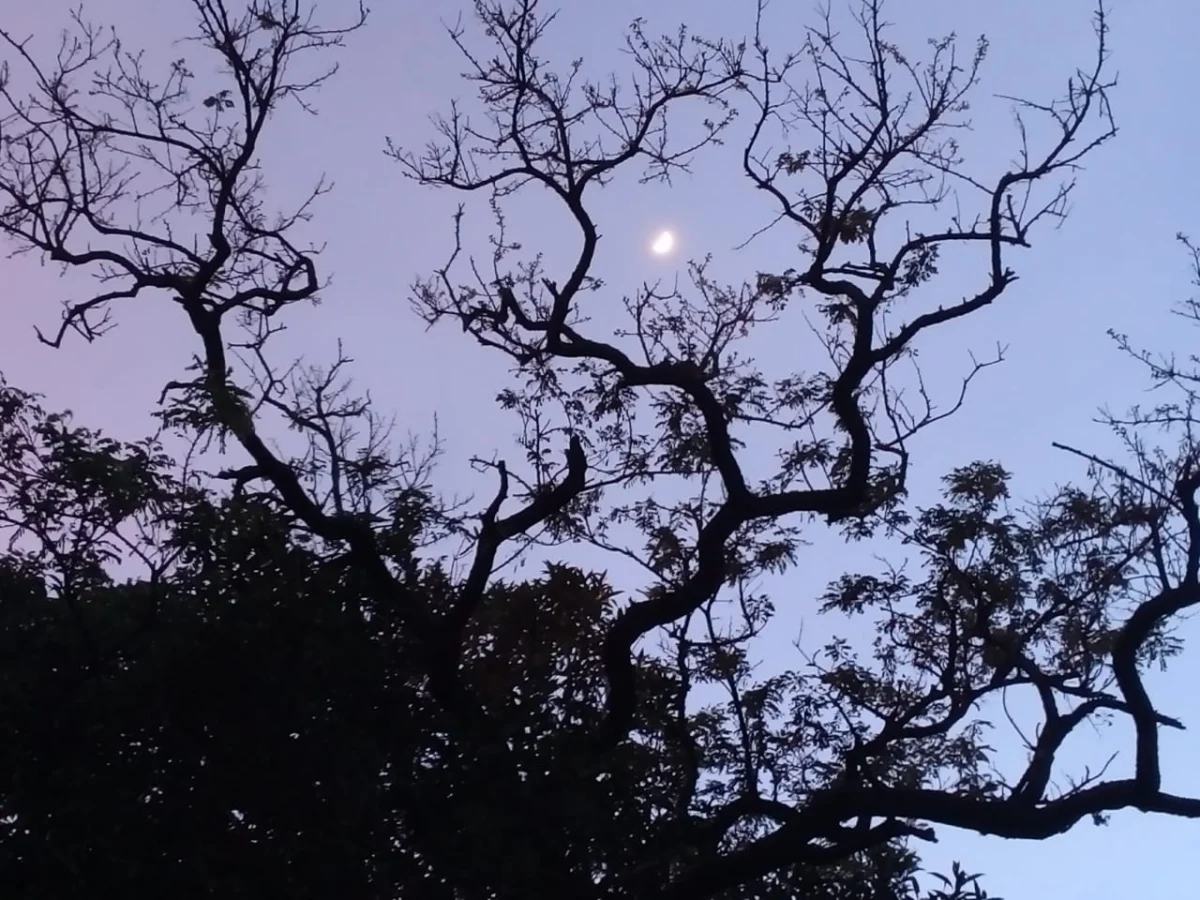 Landschaft in El Salvador