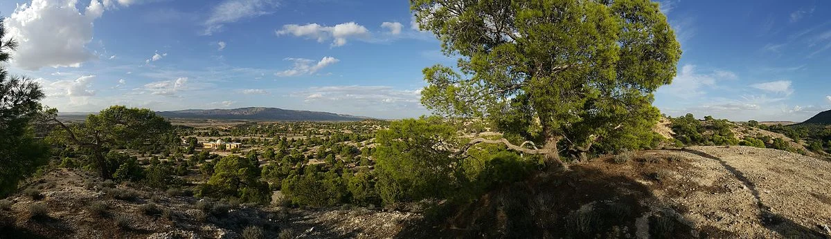Naturreservat bei Saddine, Kef