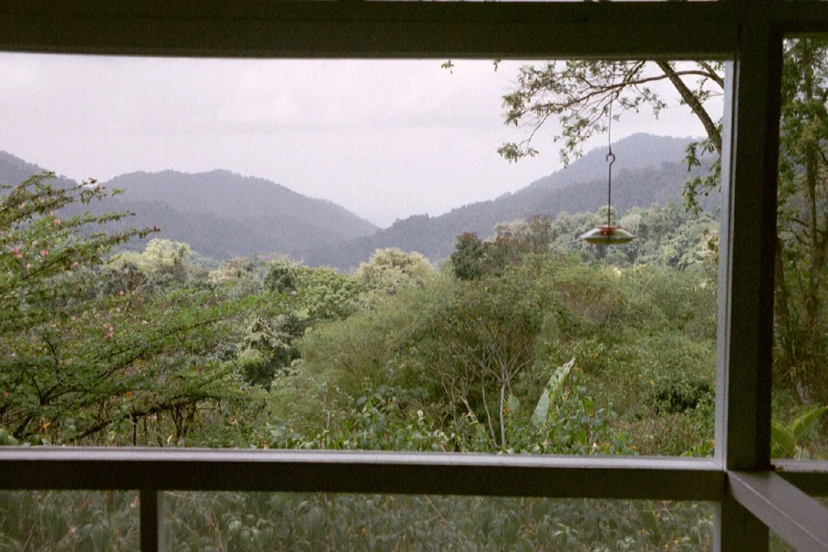 Die Veranda des Asa Wright Nature Centre in der Northern Range