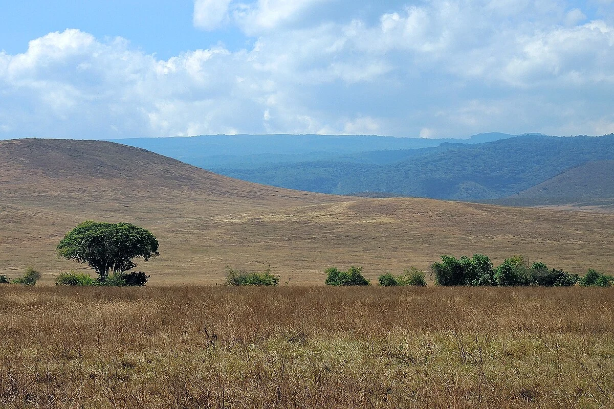Landschaft im Ngorongoro-Schutzgebiet