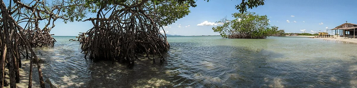 Panoramablick auf den Strand von Guamache