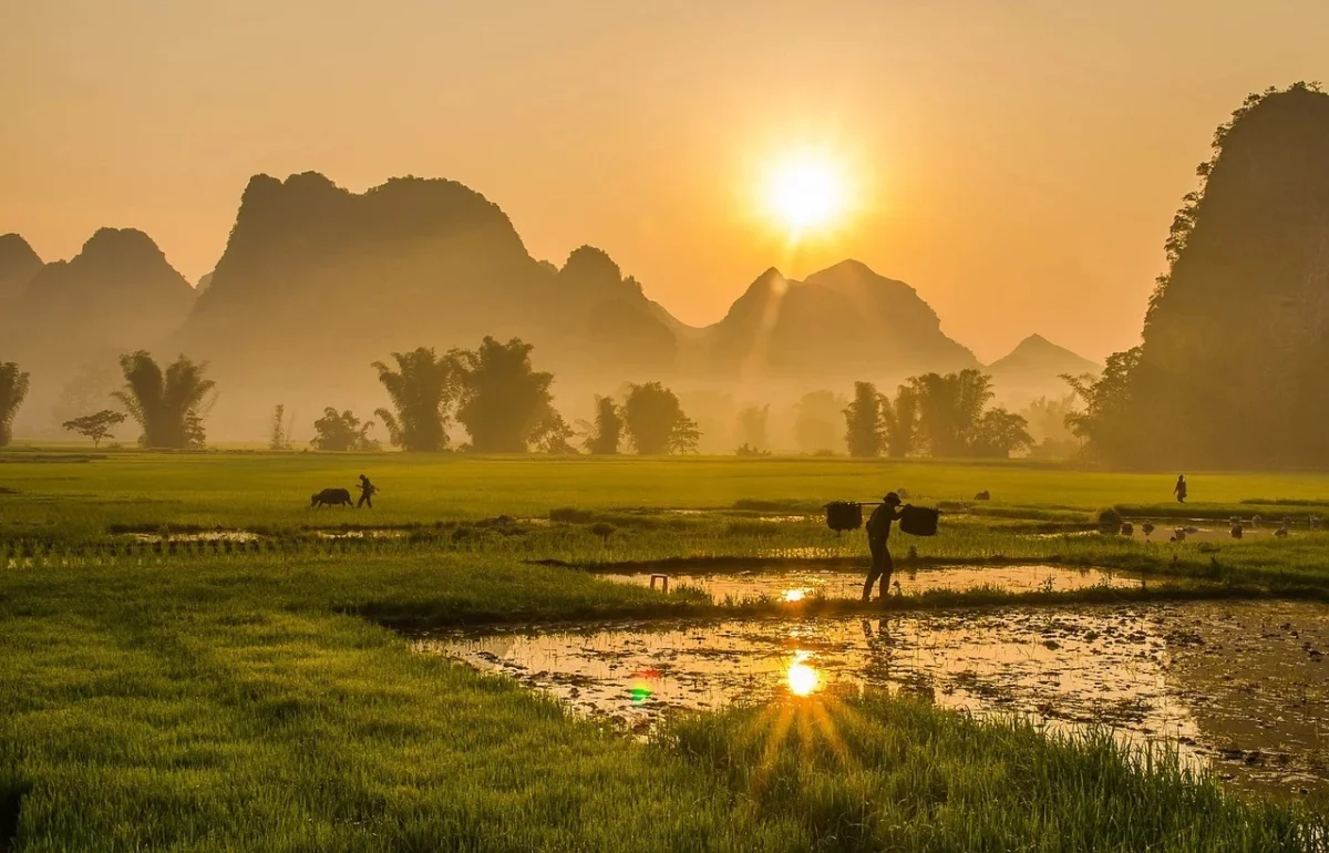 Sonnenaufgang über Feldern auf dem Land