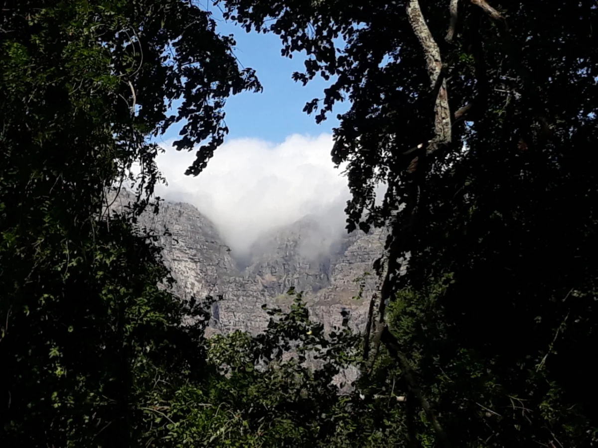 Bilder aus Südafrika (9)