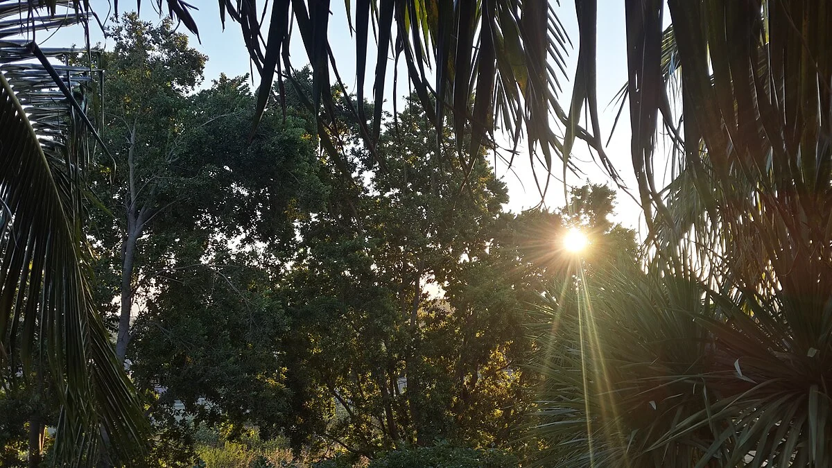 Bilder aus Südafrika (6)
