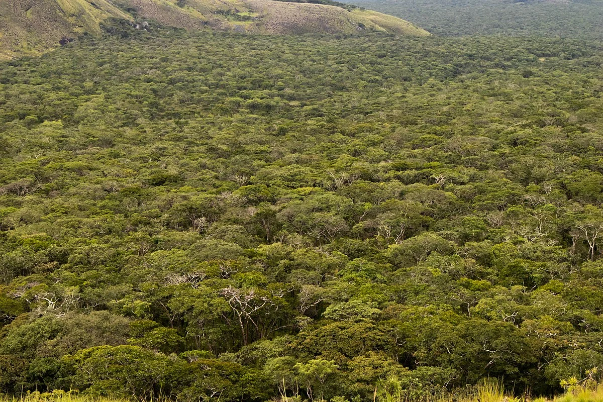 Hügel über dem Miombo-Wald im Mutinondo-Wildnisgebiet